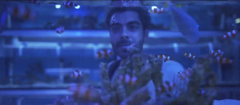 Guide to Mexico City | Sal Sanchéz. Condesa Gin City Guides